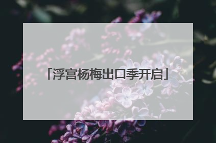 浮宫杨梅出口季开启