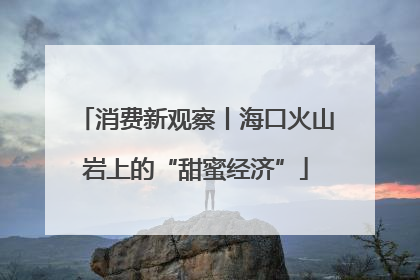 消费新观察丨海口火山岩上的“甜蜜经济”