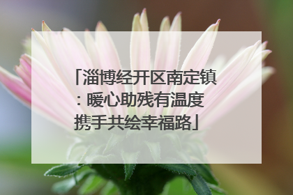 淄博经开区南定镇：暖心助残有温度 携手共绘幸福路