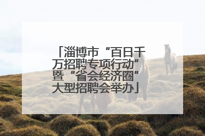 淄博市“百日千万招聘专项行动”暨“省会经济圈”大型招聘会举办