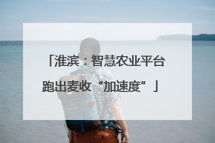 淮滨：智慧农业平台跑出麦收“加速度”