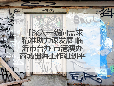 深入一线问需求 精准助力谋发展 临沂市台办 市港澳办商城出海工作组到平邑县走访调研