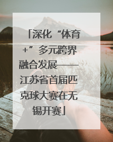 深化“体育+”多元跨界融合发展——江苏省首届匹克球大赛在无锡开赛