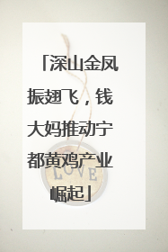 深山金凤振翅飞，钱大妈推动宁都黄鸡产业崛起