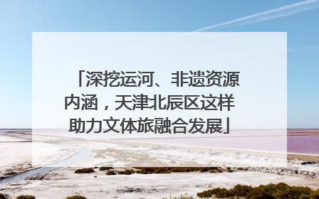 深挖运河、非遗资源内涵，天津北辰区这样助力文体旅融合发展