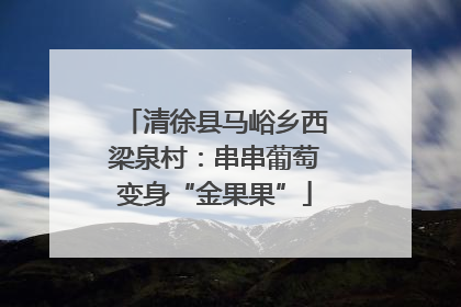 清徐县马峪乡西梁泉村：串串葡萄变身“金果果”