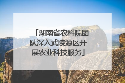 湖南省农科院团队深入武陵源区开展农业科技服务