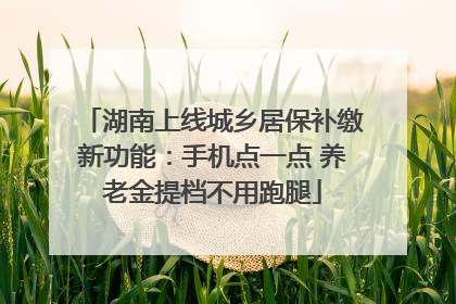 湖南上线城乡居保补缴新功能：手机点一点 养老金提档不用跑腿