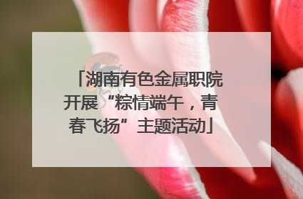 湖南有色金属职院开展“粽情端午，青春飞扬”主题活动