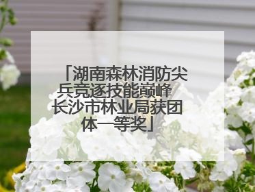 湖南森林消防尖兵竞逐技能巅峰 长沙市林业局获团体一等奖