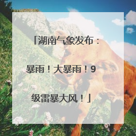 湖南气象发布：暴雨！大暴雨！9级雷暴大风！