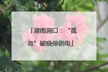 湖南洞口：“孤岛”破晓保供电