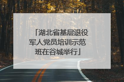 湖北省基层退役军人党员培训示范班在谷城举行