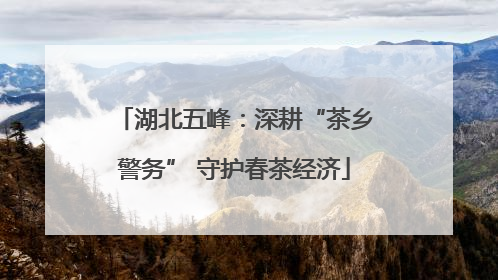 湖北五峰：深耕“茶乡警务” 守护春茶经济