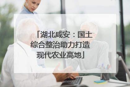湖北咸安：国土综合整治助力打造现代农业高地