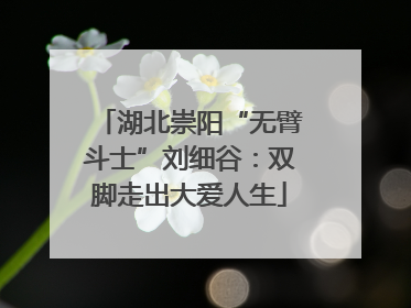 湖北崇阳“无臂斗士”刘细谷：双脚走出大爱人生