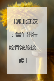 湖北武汉：端午出行粽香浓旅途暖