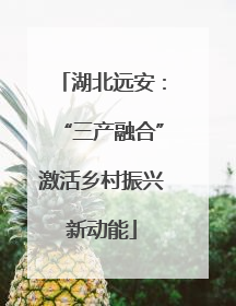 湖北远安：“三产融合”激活乡村振兴新动能