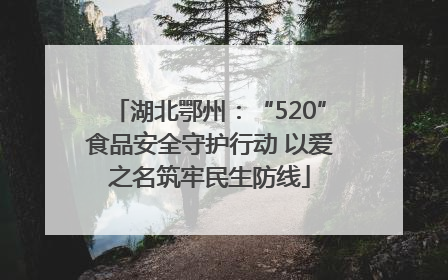湖北鄂州：“520”食品安全守护行动 以爱之名筑牢民生防线