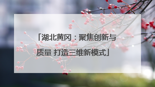 湖北黄冈：聚焦创新与质量 打造三维新模式