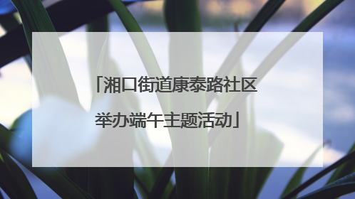湘口街道康泰路社区举办端午主题活动