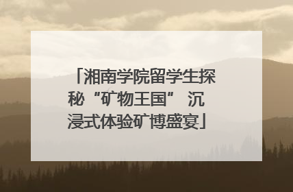湘南学院留学生探秘“矿物王国” 沉浸式体验矿博盛宴