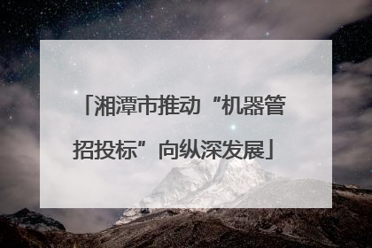 湘潭市推动“机器管招投标”向纵深发展