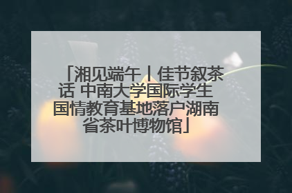 湘见端午丨佳节叙茶话 中南大学国际学生国情教育基地落户湖南省茶叶博物馆