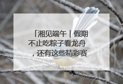 湘见端午｜假期不止吃粽子看龙舟，还有这些精彩赛事活动等你来