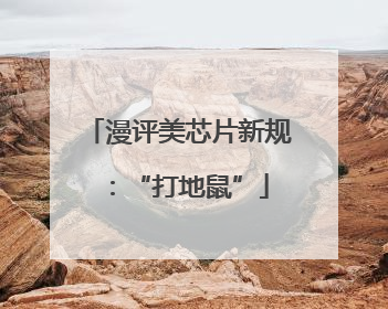 漫评美芯片新规：“打地鼠”