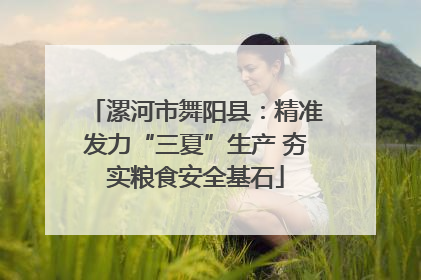 漯河市舞阳县：精准发力“三夏”生产 夯实粮食安全基石