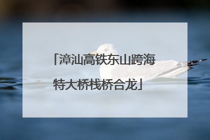 漳汕高铁东山跨海特大桥栈桥合龙