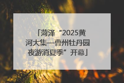 菏泽“2025黄河大集—曹州牡丹园夜游消夏季”开幕