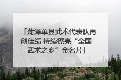 菏泽单县武术代表队再创佳绩 持续擦亮“全国武术之乡”金名片