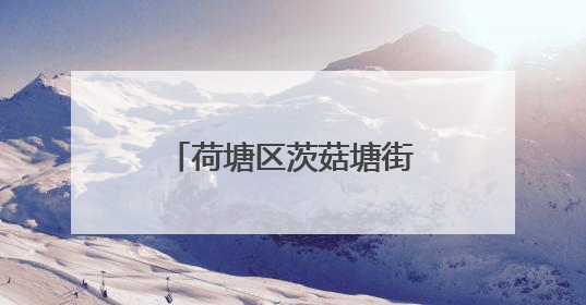荷塘区茨菇塘街道：党建引领架起连心桥，“双联夜访”织就端午情