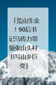 荒山生金！90后书记马传力带领张山头村书写山乡巨变