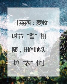 莱西：麦收时节“警”相随，田间地头护“农”忙