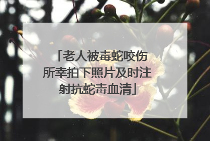 老人被毒蛇咬伤 所幸拍下照片及时注射抗蛇毒血清