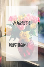老城复兴 城南崛起