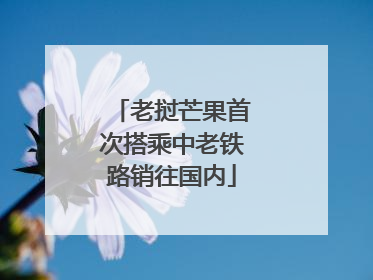 老挝芒果首次搭乘中老铁路销往国内