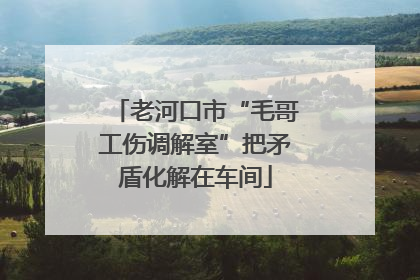 老河口市“毛哥工伤调解室”把矛盾化解在车间