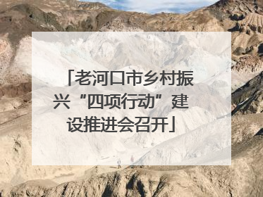 老河口市乡村振兴“四项行动”建设推进会召开