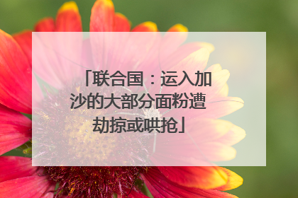 联合国：运入加沙的大部分面粉遭劫掠或哄抢