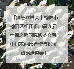 聚焦丝博会丨榆林市榆阳区组团参加第九届丝绸之路国际博览会暨中国东西部合作与投资贸易洽谈会