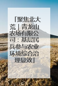 聚焦北大荒｜青龙山农场有限公司：基层民兵参与农业环境综合治理显效