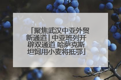 聚焦武汉中亚外贸新通道│中亚班列开辟双通道 哈萨克斯坦饲用小麦将抵鄂