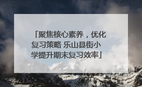 聚焦核心素养，优化复习策略 乐山县街小学提升期末复习效率