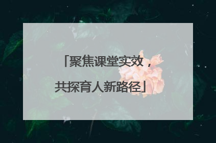 聚焦课堂实效，共探育人新路径