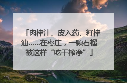 肉榨汁、皮入药、籽榨油……在枣庄，一颗石榴被这样“吃干榨净”