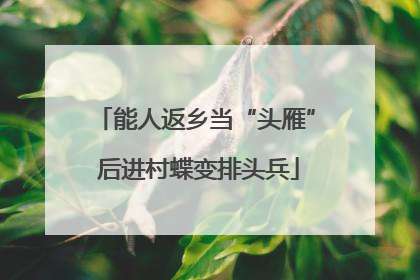 能人返乡当“头雁” 后进村蝶变排头兵